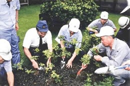 従業員参加の花壇の手入れの写真