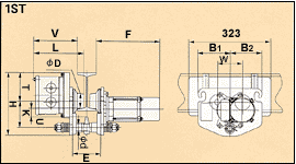 Dimensions : 1 ST