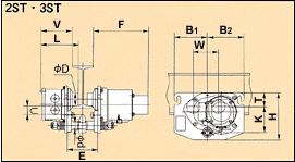 Dimensions : 2 ST,3ST