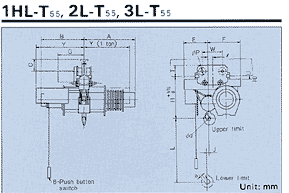 Dimensions : Low Headroom Type : 1HL-T55, 2L-T55, 3L-T55