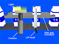 Printing on paper cartons