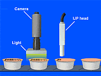 Cup label printing