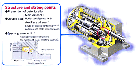 Structure and strong points