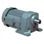 Gear Motor