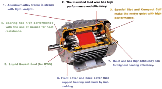 High performance High Efficiency Small Size Light Weight Use Simplify Three-Phase Motors