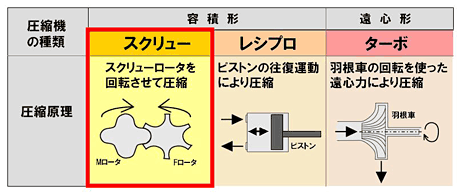 摜Fk@̎ނ̔r}