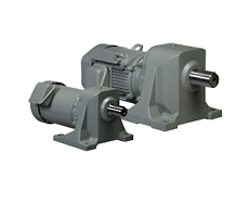 Gear motor