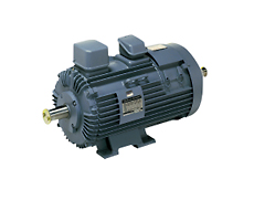 Crane motor / control device