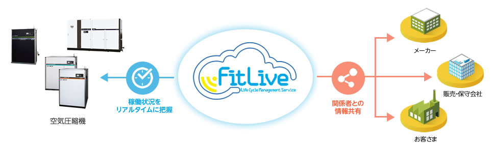 FitLiveƂ