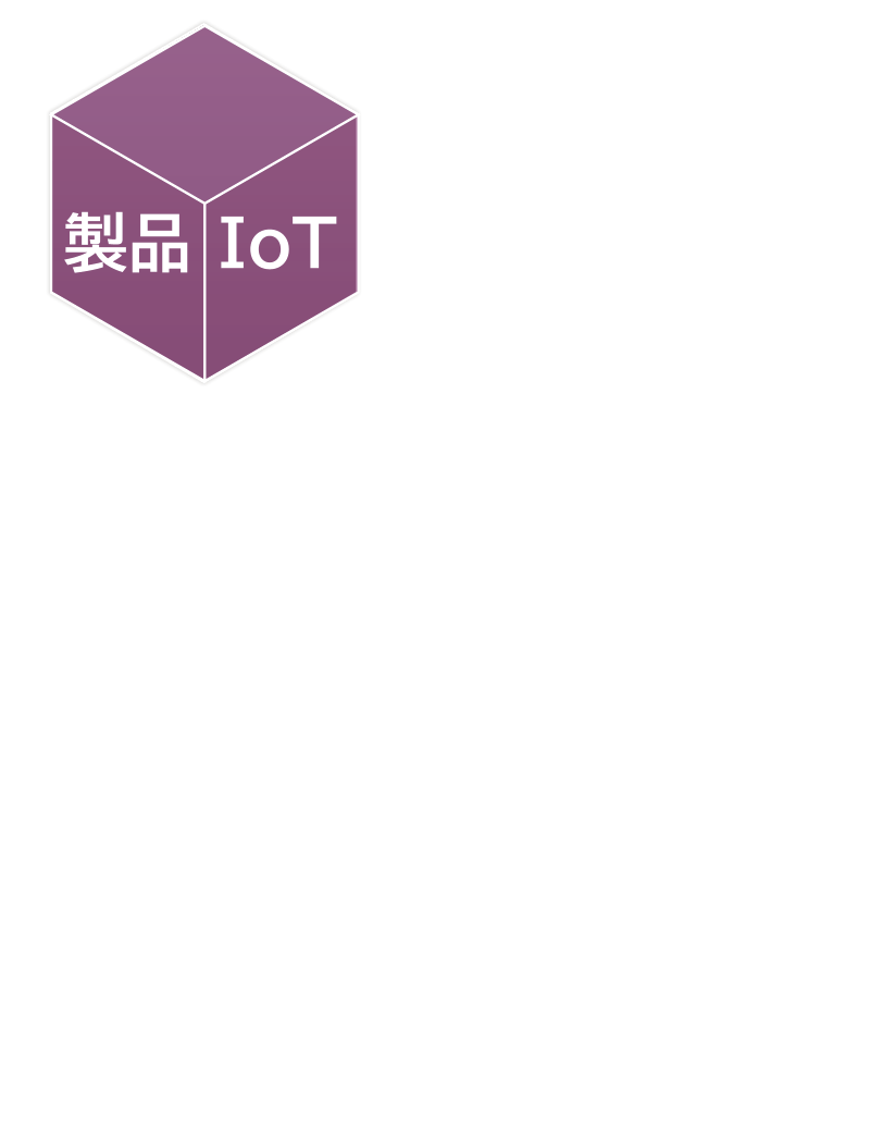 i~IoT